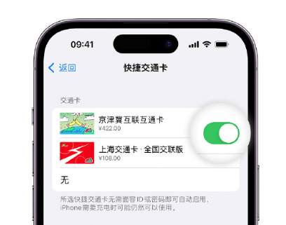 迁西apple维修点分享iPhone上更换Apple Pay快捷交通卡手绘卡面 