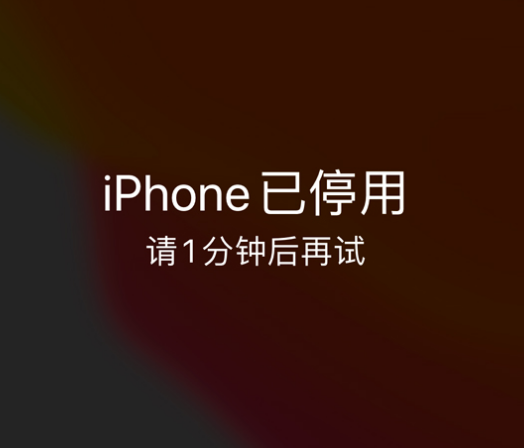 迁西苹果手机维修分享:iPhone 显示“不可用”或“已停用”怎么办？还能保留数据吗？ 