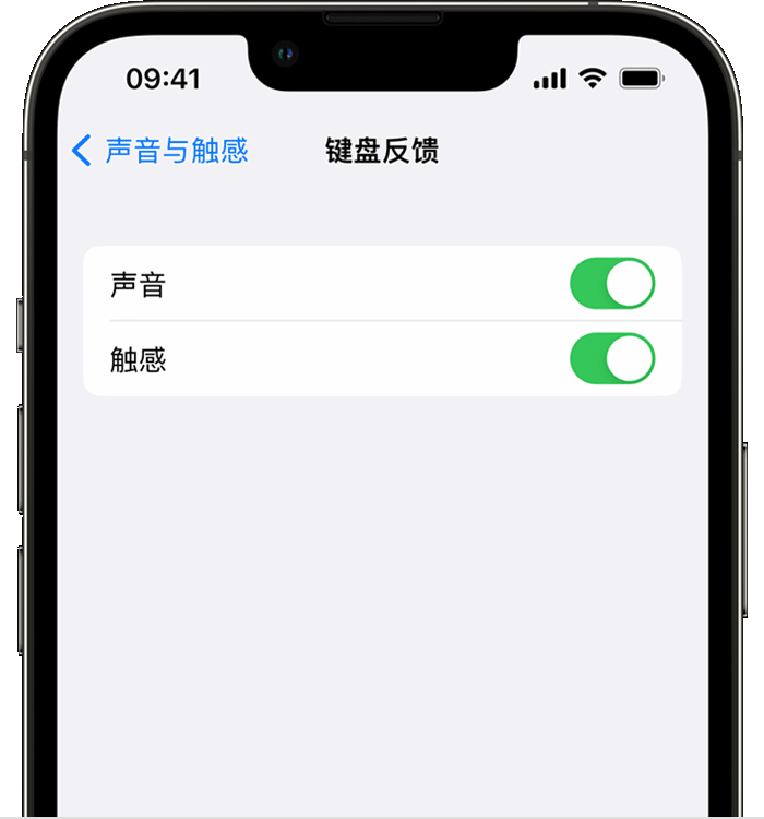 迁西苹果14维修店分享如何在 iPhone 14 机型中使用触感键盘 