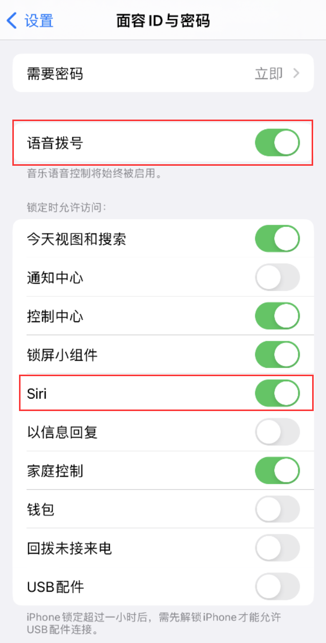 迁西苹果维修网点分享不解锁 iPhone 的情况下通过 Siri 拨打电话的方法 