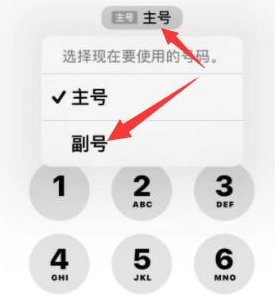 迁西苹果14维修店分享iPhone 14 Pro Max使用副卡打电话的方法 