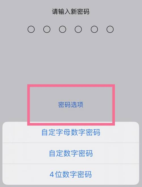 迁西苹果14维修分享iPhone 14plus设置密码的方法 