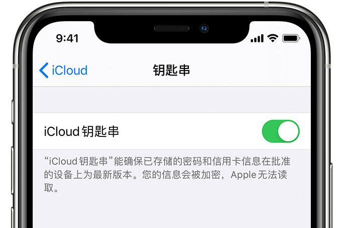 迁西苹果手机维修分享在 iPhone 上开启 iCloud 钥匙串之后会储存哪些信息 