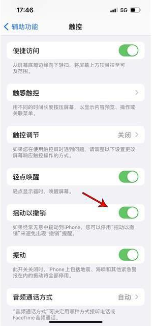 迁西苹果手机维修分享iPhone手机如何设置摇一摇删除文字 